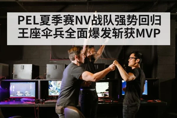 PEL夏季赛NV战队强势回归王座伞兵全面爆发斩获MVP